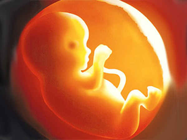 Baby's Head Severed From Body During Birth Baby's Head Severed From Body During Birth