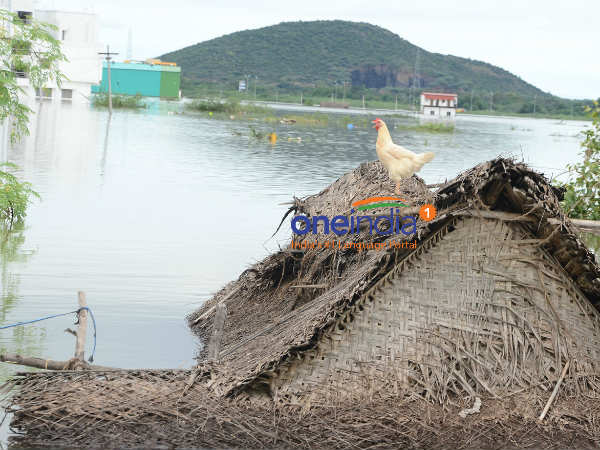 ஏரி நீர் திறப்பு
