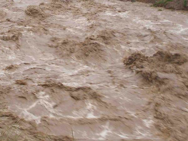 Rain continue in Cuddalore Rain continue in Cuddalore