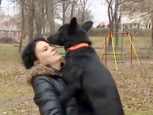 This dog walks 200 miles to find her caretaker nurse This dog walks 200 miles to find her caretaker nurse