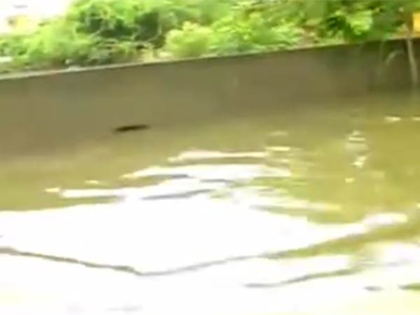 வெள்ளம் சூழ்ந்த முடிச்சூர்
