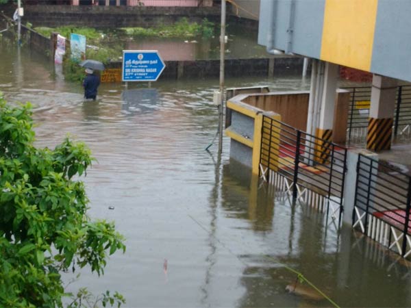 திக்குத் தெரியாத வீட்டில்:
