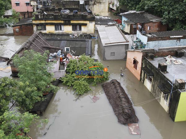 School education Dept instructed to clean all school premises immediately School education Dept instructed to clean all school premises immediately