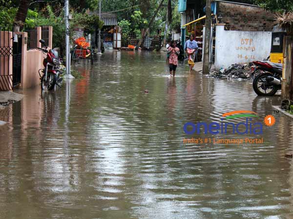 தொட்டிகளை சுத்தம் செய்த பிறகு..