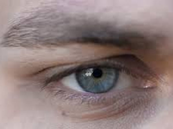 Eye Eye