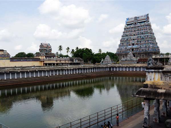 Chithamabram Natarajar Temple car festival Aaruthra dharisanam today Chithamabram Natarajar Temple car festival Aaruthra dharisanam today