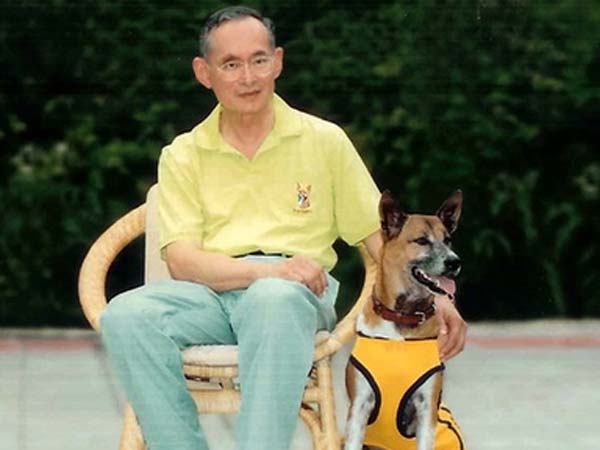 Thai king's dog, Khun Tongdaeng, dies days after 'insult' arrest Thai king's dog, Khun Tongdaeng, dies days after 'insult' arrest