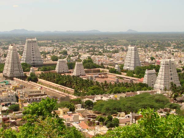 பெண்கள் அமைப்பு மேல்முறையீடு:
