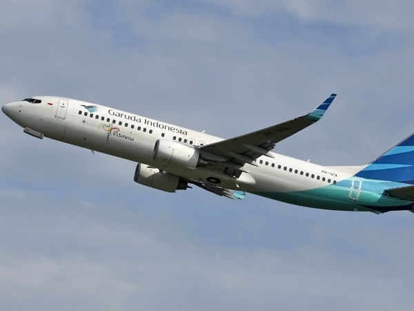 Passengers Stung By Delay Due To Bee On Plane Passengers Stung By Delay Due To Bee On Plane