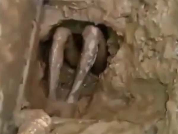 பிரேசில் சிறையில்...