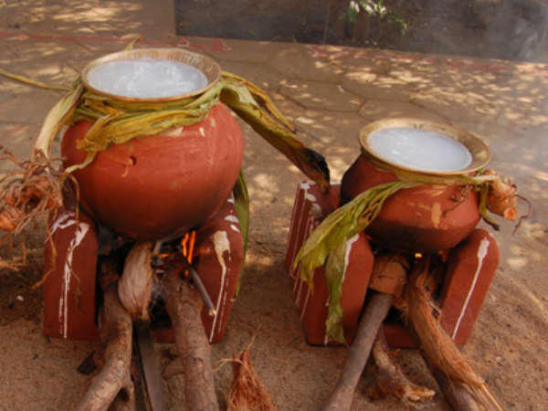 Pongal special short story Pongal special short story
