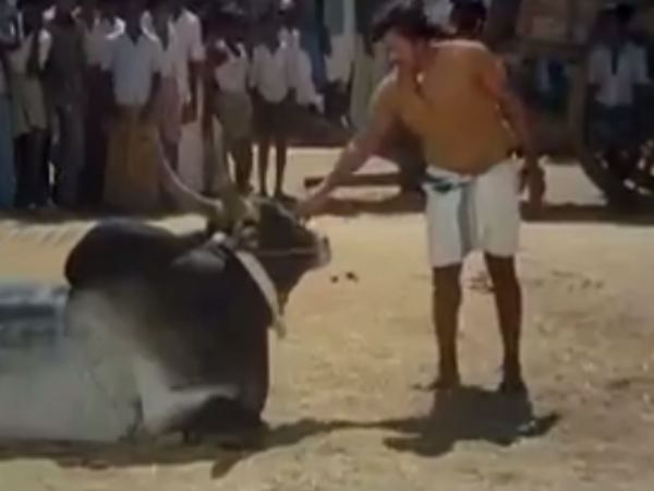 Believe it, This is also Jallikkattu! Believe it, This is also Jallikkattu!