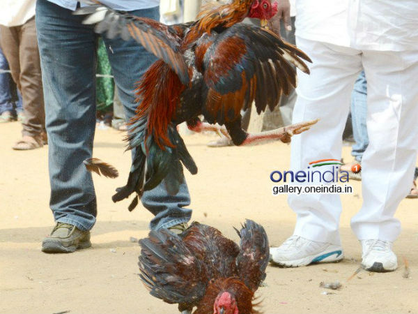 உச்சநீதிமன்றம் தடை: