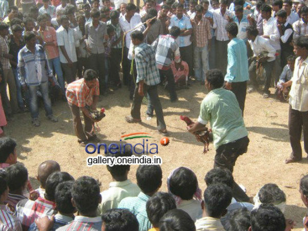 சர்ச்சை சண்டை: