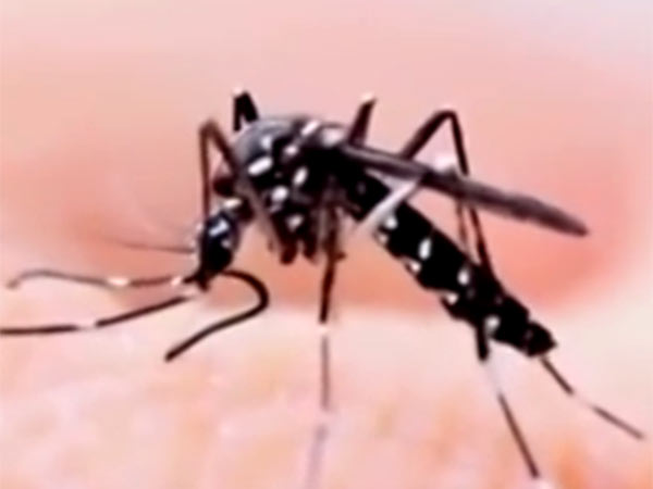 கொசுவால் பரவும் வைரஸ்