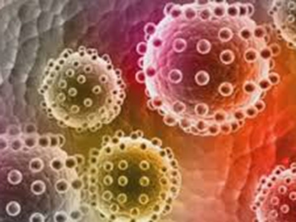 World's First Zika Virus Vaccine Made in India, Claim Scientists World's First Zika Virus Vaccine Made in India, Claim Scientists