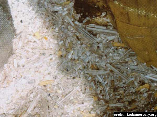 Kodaikanal mercury poisoning: HUL, former employees sign settlement Kodaikanal mercury poisoning: HUL, former employees sign settlement