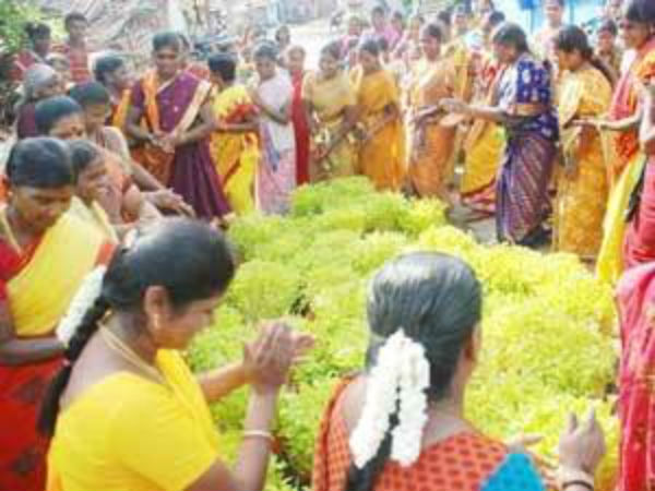 US Tamils gearing up to celebrate Tamil New Year US Tamils gearing up to celebrate Tamil New Year