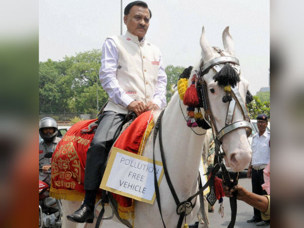 BJP MP comes to Parliament on a horse BJP MP comes to Parliament on a horse