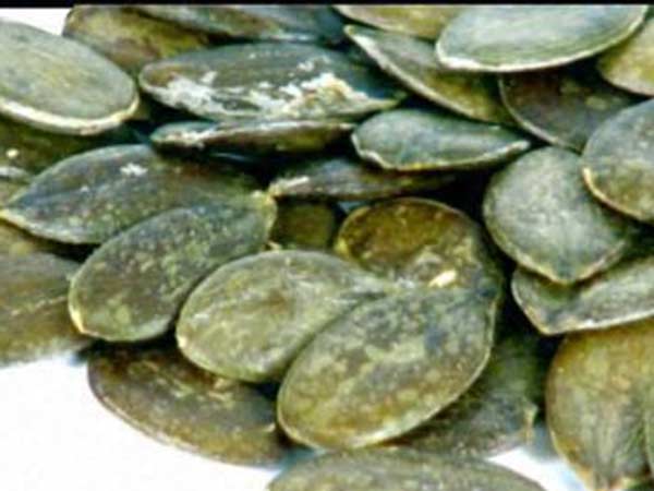 மானிய விலையில் விதைகள்