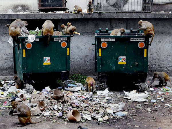 2 மாதத்திற்கு ஒருமுறை துப்புரவு