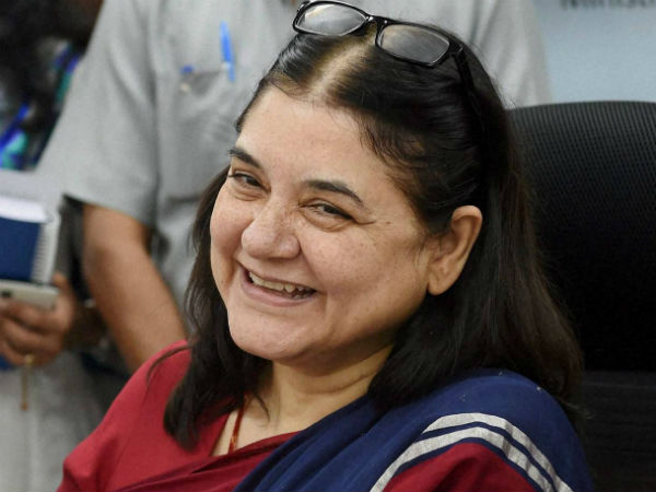 Maneka Gandhi seeks ban on zoos Maneka Gandhi seeks ban on zoos