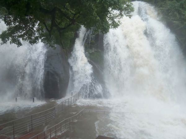 Five falls flooded, bathing banned Five falls flooded, bathing banned
