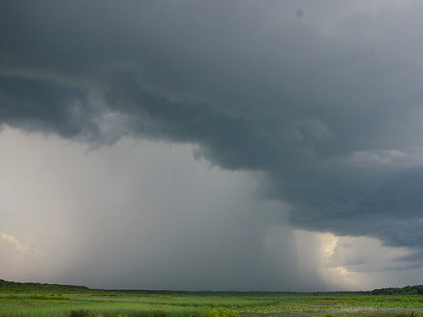South west monsoon arrives in Kerala South west monsoon arrives in Kerala
