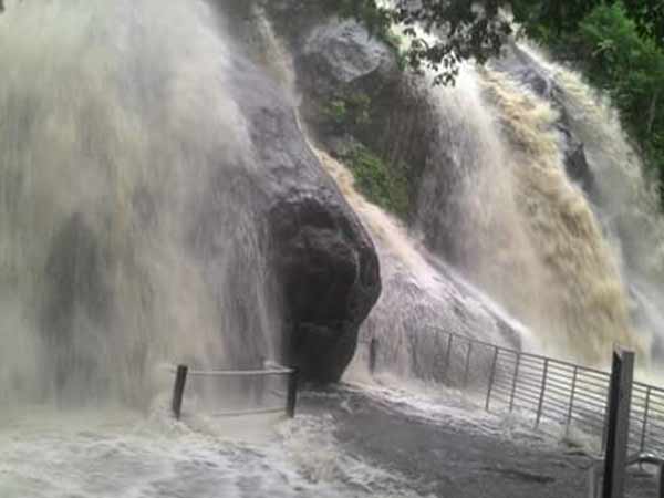 Flood at Courtallam falls Flood at Courtallam falls