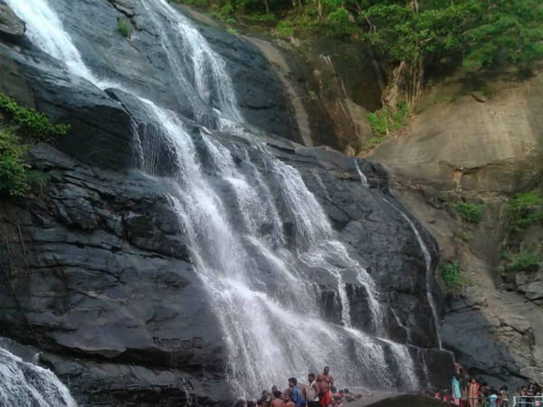 படகு வகை