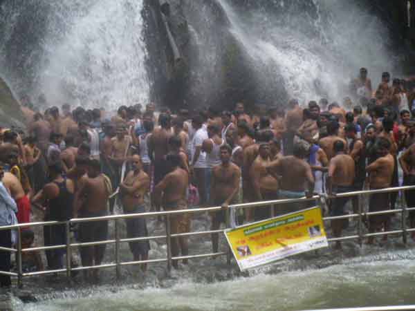 உழவு பணி