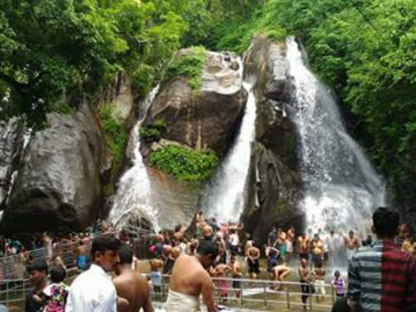 Tourists are allowed to take bath in Courtralam Tourists are allowed to take bath in Courtralam