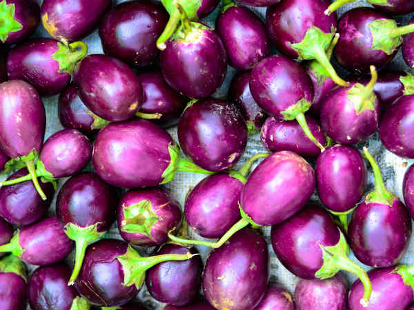 Vegetable prices hit summer high Vegetable prices hit summer high
