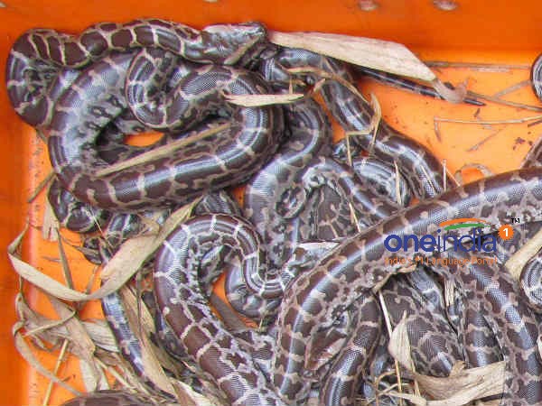தசைகளை இறுக்கி