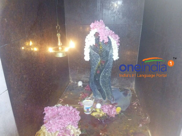 நாக தோஷம் நீங்கும்