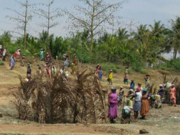 Salary issue in100-days work scheme, women blockade road in Viruthunagar Salary issue in100-days work scheme, women blockade road in Viruthunagar