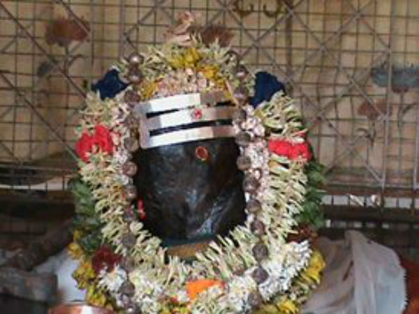 சிறப்பு பூஜைகள்
