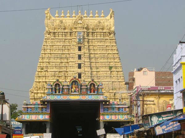 நாகசுனை