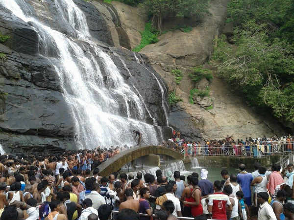 courtallam saral festival starts from today courtallam saral festival starts from today