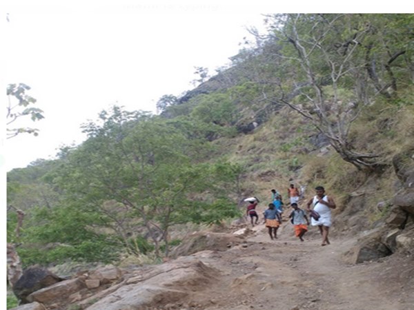 flood in Sathuragiri Hills flood in Sathuragiri Hills