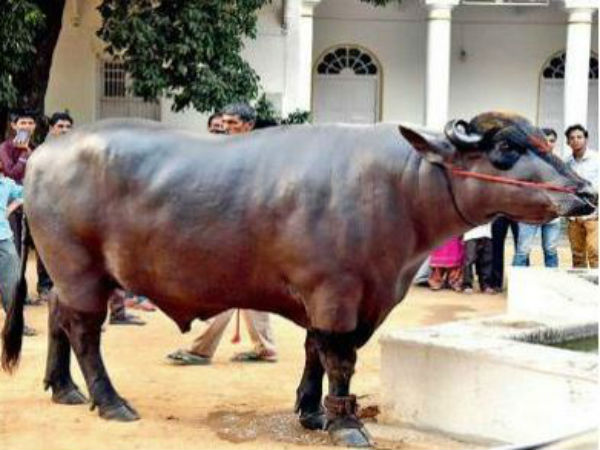 காத்திருக்கும் விவசாயிகள்