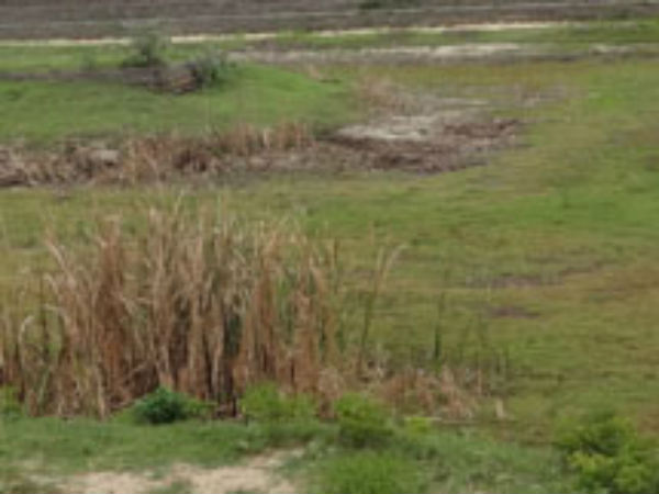 Tirupur villagers give burial ground missing complaint Tirupur villagers give burial ground missing complaint