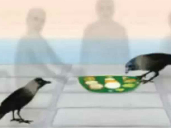 பசுவிற்கு அகத்திக்கீரை