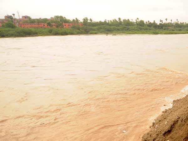 சிறுவாணி ஆற்றின் குறுக்கே அணை... கட்டுமான பணிகளை தொடங்கியது கேரளா 