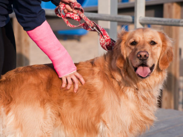 Dog's pee triggers clash leaving master injured Dog's pee triggers clash leaving master injured