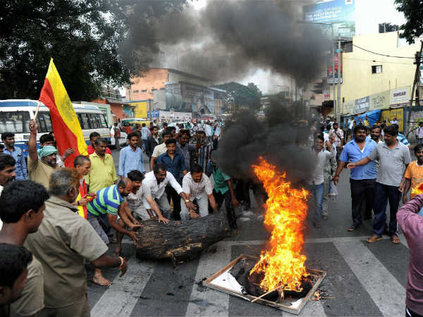 Pro-Kannada activists protest in Mandya Pro-Kannada activists protest in Mandya