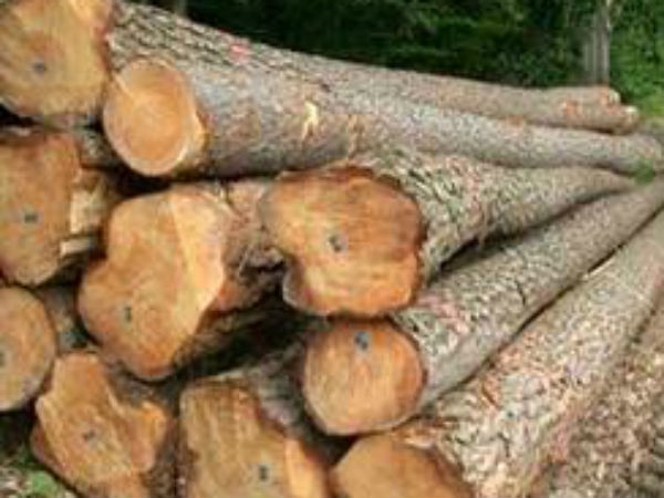 Agri officer placed under suspension Agri officer placed under suspension