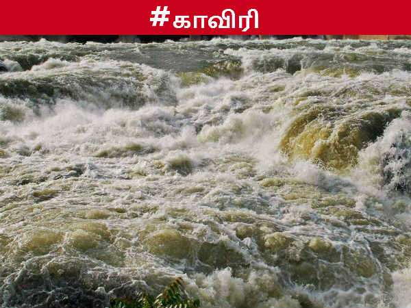 காவிரி மேலாண்மை வாரியம்