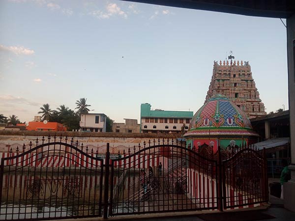 உப்பில்லாத உணவு