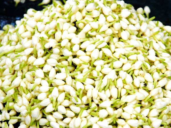 Deepavali festival: flower price hike 60 % Deepavali festival: flower price hike 60 %